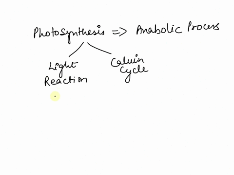 true-or-false-coz-from-the-atmosphere-is-utilized-during-the-light-reaction-as-source-of-carbon-true-false-57377