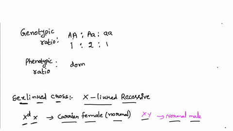draw-punnett-squares-for-a-monohybrid-cross-a-sex-linked-cross-and-a-dihybrid-cross-give-the-expected-phenotype-and-genotype-ratios-for-each-67485