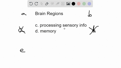 which-region-of-the-brain-controls-our-breathing-and-heartbeat-a-pons-b-corpus-callosum-c-parietal-l-37038