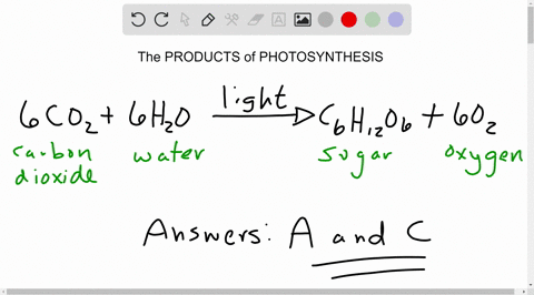 plants-are-best-known-for-their-ability-to-perform-photosynthesis-the-process-by-which-light-energy-is-converted-to-chemical-energy-in-the-form-of-sugars-but-plants-dont-just-make-sugars-the-92471