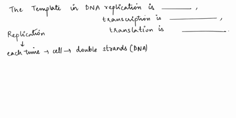 the-template-in-dna-replication-is__________-the-template-for-transcription-is__________-and-the-template-for-translation-is-___________-the-monomers-used-in-dna-replication-are_____________-07394