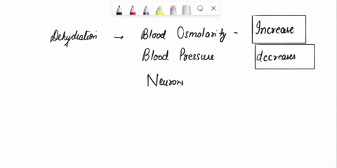 undefined-drag-the-terms-onto-this-figure-of-the-brain-structures-involved-in-adhvasopressin-secretion-the-same-term-may-be-used-in-more-than-one-place-reset-help-dehvdration-causes-blood-os-38427