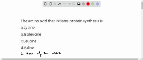 the-amino-acid-that-initiates-protein-synthesis-is-alysine-bisoleucine-cleucine-dvaline-34697