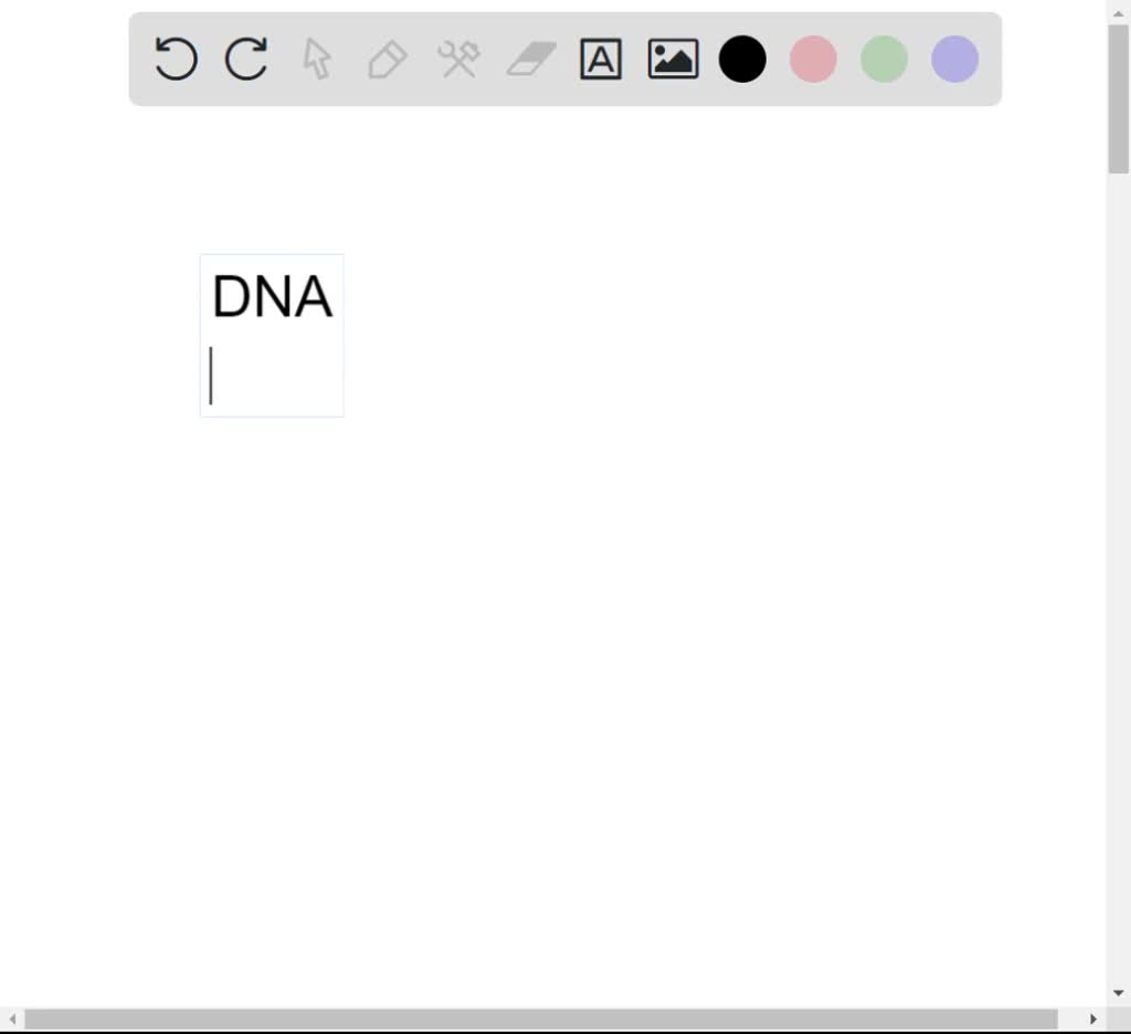 SOLVED The process of making new DNA molecules is semiconserative