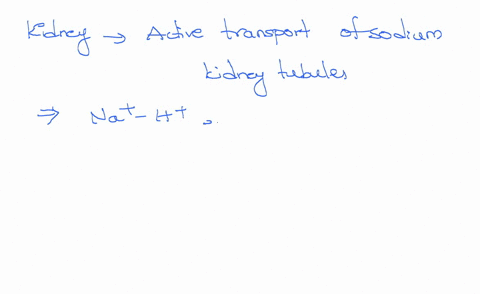 proper-functioning-of-the-human-kidney-requires-considerable-active-transport-of-sodium-in-the-kidney-tubules-if-these-active-transport-mechanisms-were-to-stop-completely-how-would-urine-pro-48482