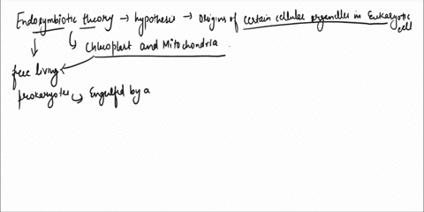 what-is-the-endosymbiotic-theory-and-why-is-this-theory-relevant-to-the-study-of-extranuclear-dna-in-7262
