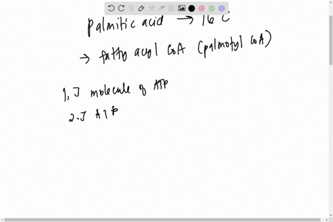 atp-counting-the-reoxidation-of-reduced-nicotinamide-and-flavin-cofactors-bythe-ectron-transport-chain-will-yield-the-following-amounts-of-atp-molecule-reoxidlized-molecules-of-atp-produced-27306