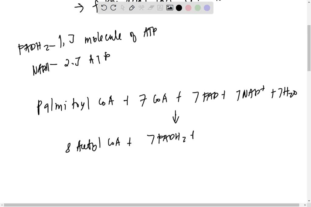 SOLVED Calculating ATP Produced in Cellular Respiration Control of