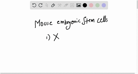 mouse-embryonic-stem-es-cells-__________-group-of-answer-choices-can-give-rise-to-all-tissues-and-cell-types-in-the-body-except-germ-cells-can-be-made-in-the-lab-from-human-ips-cells-can-onl-25965