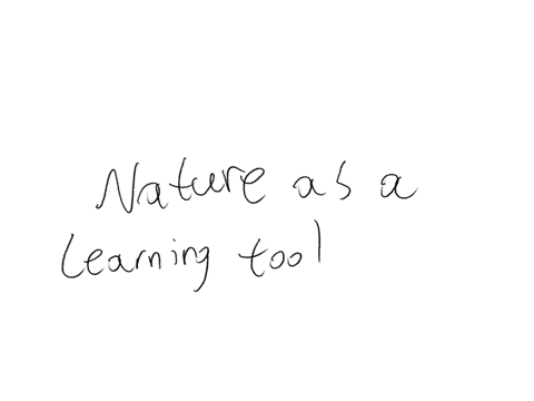 how-could-you-use-the-environment-materials-or-resources-to-extend-the-chikds-mearning-for-outdoor-park-play