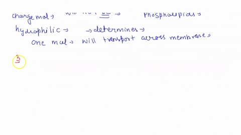 how-is-the-plasma-membrane-of-cells-selectively-permeable-the-membrane-does-not-allow-passage-of-molecules-molecules-can-freely-diffuse-across-the-cell-membrane-when-needed-the-membrane-allo-80265