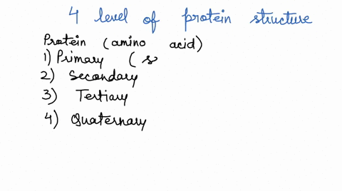 What are the 4 levels of protein structure and what type of...