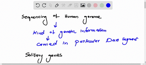 sequencing-of-the-human-genome-has-revealed-much-about-the-organization-of-genes-describe-the-differ-81613
