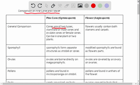 compare-and-contrast-the-life-cycle-of-a-pine-with-the-typical-angiosperm-life-cycle-68744