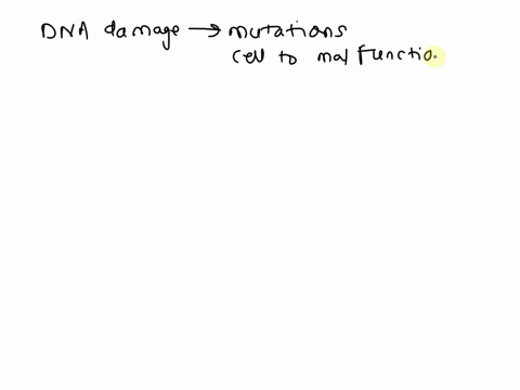 what-would-happen-if-apoptosis-cell-death-did-not-occur-in-cells-that-have-significant-dna-damage-24177