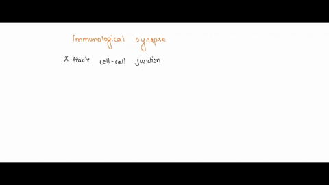 please-explain-what-immunological-synapse-is-73707