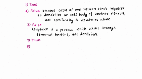 1-a-neural-impulse-is-an-electrochemical-signal-sent-from-one-neuron-to-the-next-tf-2-the-axon-of-one-neuron-sends-neural-impulses-into-the-dendrites-of-other-neurons-tf-3-reuptake-blocks-ne-86764