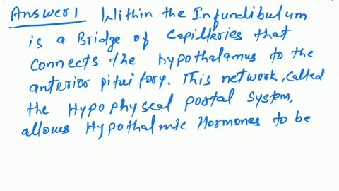1-describe-how-a-neurohormone-secreted-from-the-hypothalamus-stimulates-the-secretion-of-a-hormone-from-the-anterior-pituitary-a-2-describe-how-a-neurohormone-secreted-from-the-hypothalamus-52434