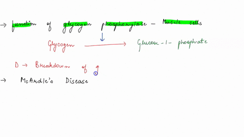 1-what-is-the-function-of-glycogen-phosphorylase-in-muscle-cells-a-covalent-attachment-of-glucose-to-glucogenin-by-transglucosylation-b-breakdown-of-glycogen-to-supply-glucose-to-the-blood-s-73093