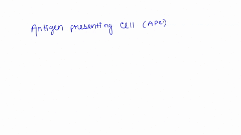 which-of-these-does-not-present-antigen-to-helper-t-cells-macrophages-neutrophils-or-b-cells-28793