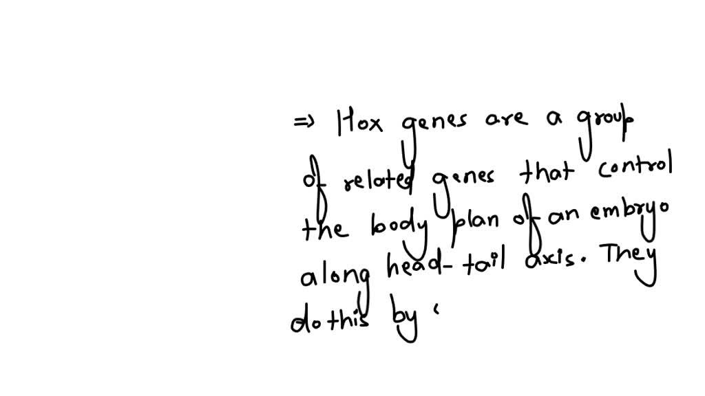 SOLVED: Question 5 of 10 The diagram shows Hox genes and body segments ...