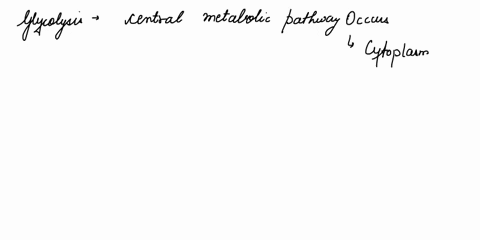 question-s-during-glycotysis-in-prokaryotesfor-each-molecule-of-glucose-oxdzed-to-pyuvate-o-molcules-of-atp-net-molecules-of-atp-o4-net-molecules-of-atp-o2molecules-of-nad-02073