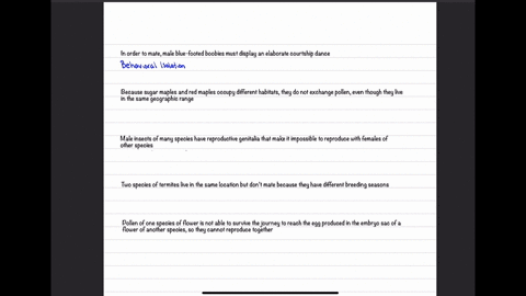 complete-each-statement-to-describe-five-types-of-prezygotic-isolating-mechanisms-not-all-choices-will-be-used-in-order-t0-mate-male-blue-footed-boobies-must-display-an-ellaborate-courtship-36908