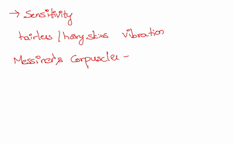 question-17-which-ol-thc-ollowing-corpusdes-lcnsiive-viblatant-ruflini-affcrent-hat-folllcle-teceptor-merkelccll-mmecince-ahleeti-question-18-in-many-sensory-systems-rcceptors-show-prozrassi-94056