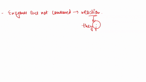 which-of-the-following-statements-regarding-enzymes-is-false-enzymes-are-consumed-in-the-reactions-they-catalyze-and-therefore-must-be-constantly-made-the-activity-of-enzymes-can-be-affected-14595