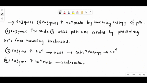 which-of-the-following-statements-about-enzymes-are-true-select-all-that-apply-enzymes-increase-reaction-rates-by-lowering-the-energy-of-the-products-enzymes-increase-the-rate-at-which-produ-29898