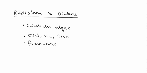 radiolaria-and-diatoms-have-a-shell-of-___________-a-cellulose-b-silica-c-calcium-carbonate-d-chitin-54452