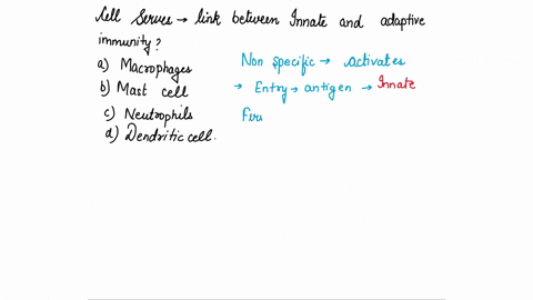 1-which-cell-serves-as-the-link-between-innate-and-adaptive-immunity-a-macrophages-b-mast-cells-c-neutrophils-d-dendritic-cells-85485