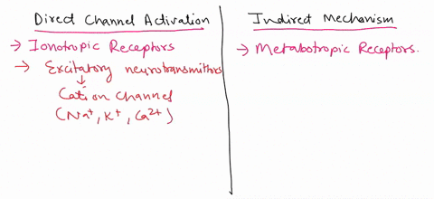 explain-the-difference-between-direct-channel-activation-and-indirect-mechanisms-involving-secondary-messengers-in-synaptic-transmission-02218