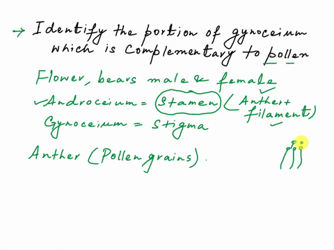 name-the-part-of-gynoecium-that-determines-the-compatible-nature-of-pollen-41884