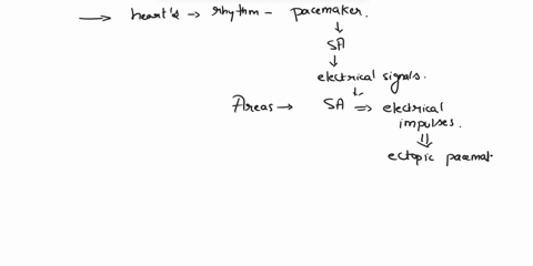 premature-contractions-use-the-pvc-as-an-example-x-z-x-x-v-1what-is-an-area-of-the-heart-or-cardiac-conduction-system-that-becomes-irritated-and-begins-to-spontaneously-depolarize-called-2th-23601