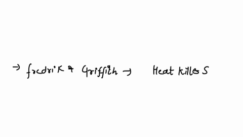 match-the-following-scientists-with-their-contribution-to-dnachromosome-biology-messelson-and-stahl-aat-and-cg-frederick-griffith-b-the-double-helix-contains-105-bplturn-rosalind-franklin-cr-12613