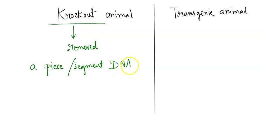 SOLVED What is the difference between a knockout animal and a transgenic animal?