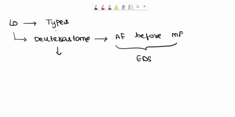 which-of-the-following-statements-about-deuterostomes-is-false-all-deuterostomes-have-a-coelom-all-deuterostomes-are-triploblastic-and-have-three-tissue-layers-all-deuterostomes-have-a-simil-08404