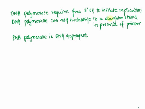 why-rna-polymerase-does-not-need-primer-during-transcription-while-dna-polymerase-requires-primer-58617
