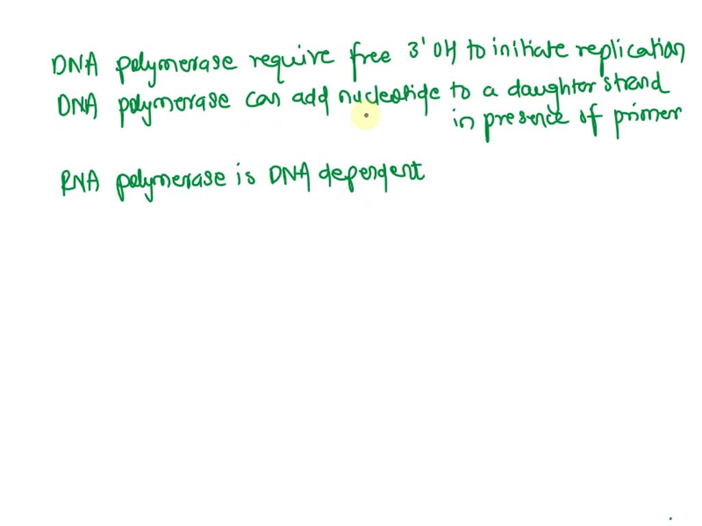 SOLVED Why RNA polymerase does not need primer during transcription