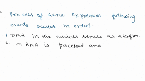 gene-expression-place-the-following-sentences-in-order-to-describe-the-process-of-gene-expression-polypeptide-synthesis-occurs-one-amino-acid-at-a-time-until-complete-mrna-becomes-associated-68232
