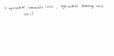 explain-why-cardiac-cells-are-considered-autorhythmic-and-how-this-occurs-describe-the-pathwray-of-electrical-conduction-through-the-heart-and-the-purpose-af-each-step-09277
