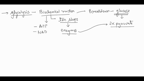 based-on-what-you-have-learned-about-glycolysis-which-kind-of-poison-would-most-likely-directly-interfere-with-glycolysis-25036