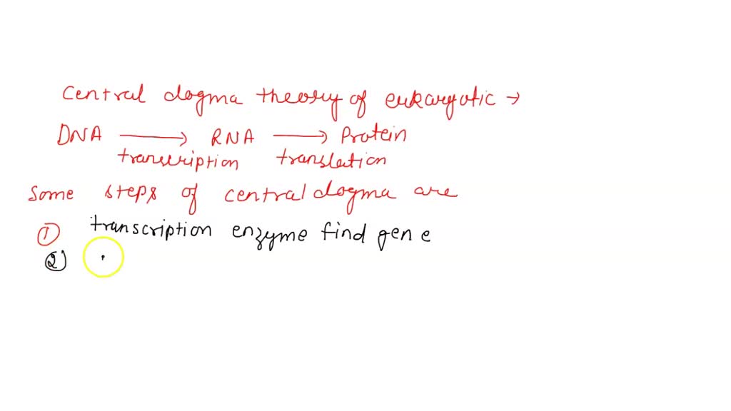 SOLVED: Text: Central dogma Arrange the following parts and processes ...