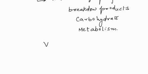 practice-questions-1-you-were-given-a-bacteria-for-unknown-investigation-to-begin-with-you-performed-a-methyl-red-test-after-inoculating-and-incubating-them-for-48-hours-you-obtained-no-colo-38789