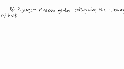 which-of-the-following-statements-is-true-regarding-glycogen-phosphorylase-glycogen-phosphorylase-in-muscle-is-allosterically-activated-by-atp-and-g6p-glycogen-phosphorylase-catalyzes-the-cl-58803
