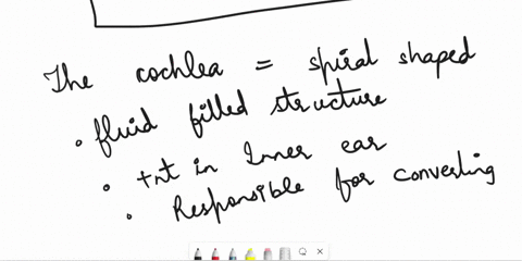 the-cochlea-is-responsible-for-__________-a-protecting-the-outer-portion-of-the-ear-b-transmitting-vibrations-to-the-eardrum-and-stapes-c-relaying-neural-signals-to-the-auditory-cortex-d-con-70786