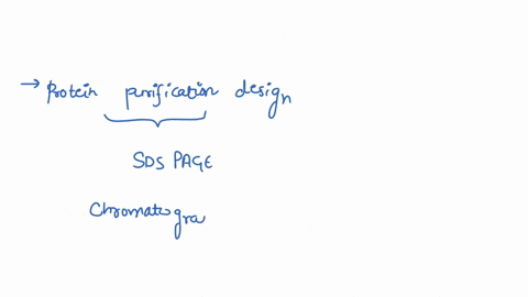 hw-protein-purification-design-you-are-purifying-a-valuable-10000-dalton-protein-protein-x-for-commercial-sale_-preliminary-sds-page-shows-that-your-protein-is-contaminated-with-3-other-prot-34189
