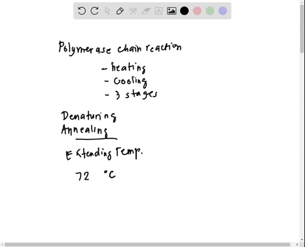 SOLVED You run a PCR reaction but make a mistake. You realize that the