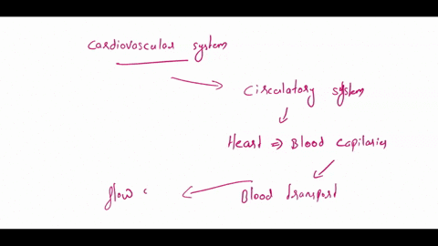 create-a-discussion-post-in-which-you-choose-a-specific-topic-that-you-have-learned-about-while-studying-the-cardiovascular-system-or-lymphatic-system-and-compare-that-topic-to-a-concrete-re-58153